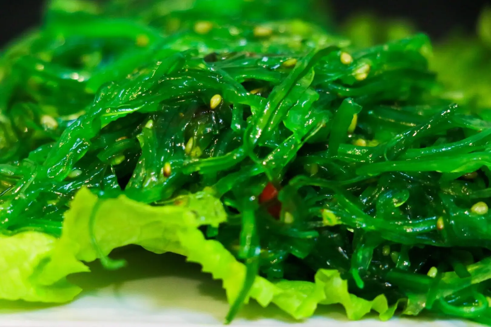 Seaweed Salad.jpg_1682624975